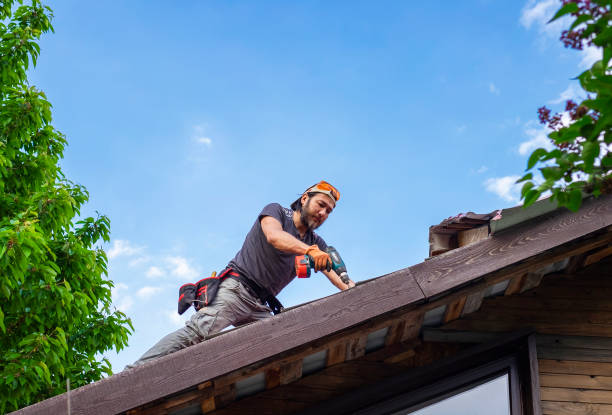 Best Steel Roofing  in USA